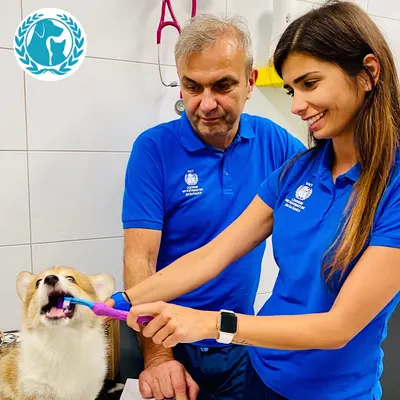 Centrum weterynaryjne Jacek Szulc